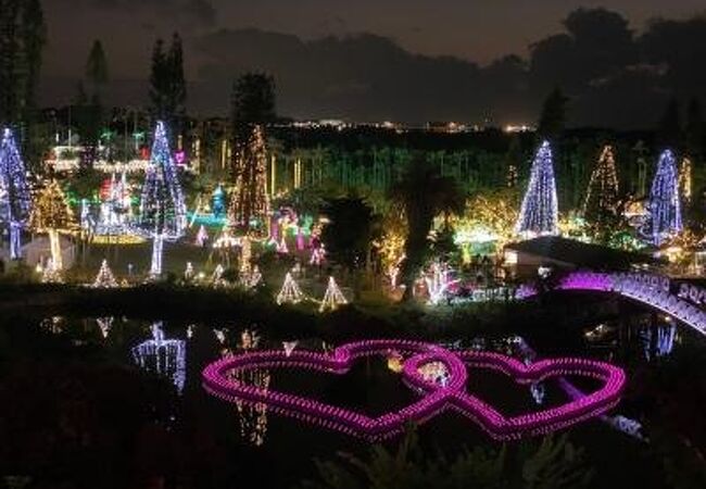 東南植物楽園 クチコミ アクセス 営業時間 沖縄市 うるま市 伊計島 フォートラベル