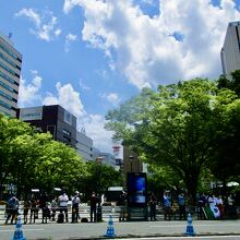 トライアスロン真っ最中