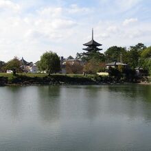 池の畔から興福寺五重塔を望む