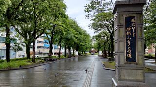 鹿児島中央駅から徒歩5分位にある、甲突川に沿った幕末/明治維新の歴史を感じるスポットでした