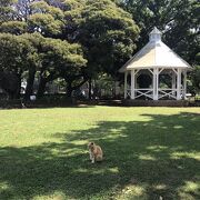 日本初の洋式公園