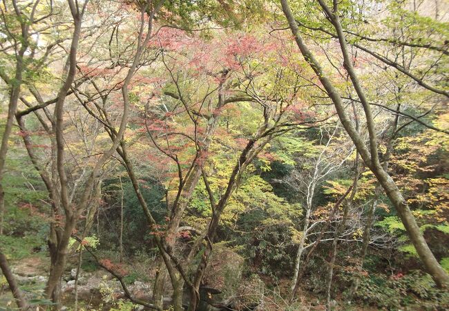 北茨城 磯原の紅葉 クチコミ人気ランキング フォートラベル 茨城県