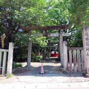 鳥居がいくつも並んで静かな神社でした