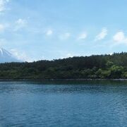 富士山の山麓に広がる