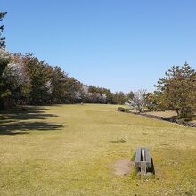 潮風公園