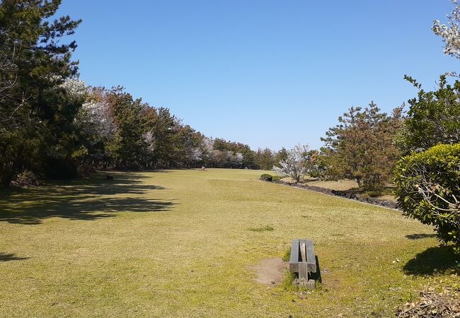 散歩しながら緑や花を楽しめますが・・・