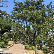 海沿いにある公園