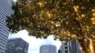 コロナ禍でも希望の光です