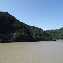 前日の雨の影響で天竜川は茶色く濁っていました