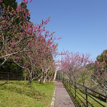 対岸は伊砂ボートパークとして整備されています