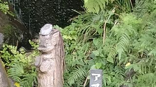 駐車場脇の池にアマビエの石像があり、アマビエ朱印（初穂料５００円）もありました