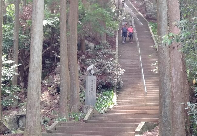 1000段（全体の1/3）登って降りたら、翌日ふくらはぎが筋肉痛でした（笑）