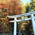 紅葉の宝登山神社