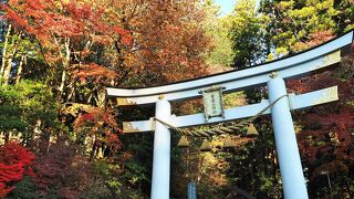 紅葉の宝登山神社