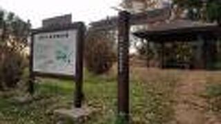 鬱蒼とした雰囲気