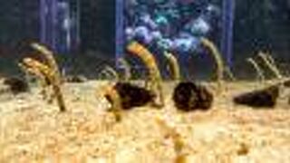 ショッピングモール内にありました。