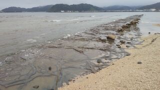 干潮時に見れます。