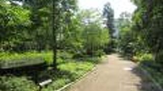 日本橋川沿いに造られた緑地帯です