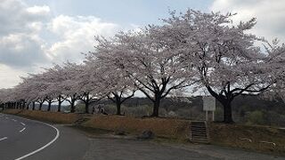 那珂川河畔公園