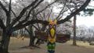 桜がきれいです。