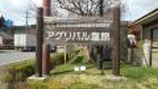 パン屋さんやカフェもあります。