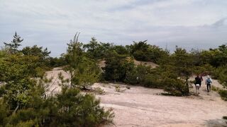 麓から歩いて登ってみた