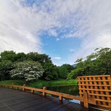 尾白の森名水公園べるが 