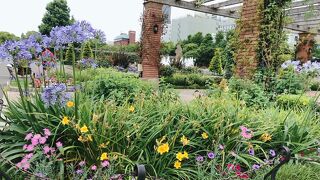 ローズフェスティバル最終日