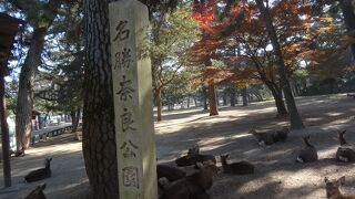 とても広い公園