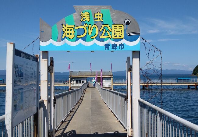 浅虫海づり公園 クチコミ アクセス 営業時間 浅虫温泉 フォートラベル 浅虫海づり公園 クチコミ アクセス 営業時間 浅虫温泉 フォートラベル