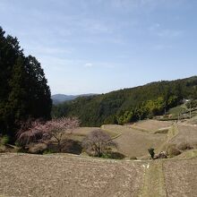 棚田の上から