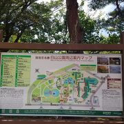 白山神社は以外も見所多い公園です。