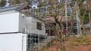 修復工事中デシタ