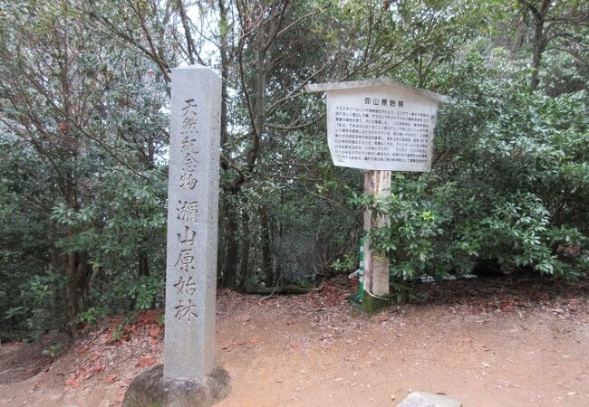 弥山原始林 クチコミ アクセス 営業時間 宮島 厳島神社 フォートラベル
