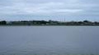 コジュリンが見られました。