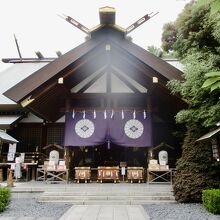 夜も綺麗みたいです