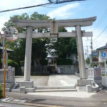 練馬白山神社の入口には、石の鳥居があります。参道が見えます。