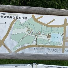 青葉中央公園