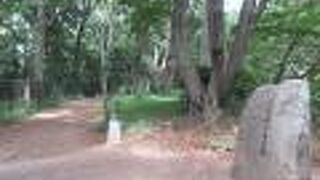 地元の人たちの散歩コースになっています