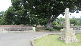 整地された広々とした公園のようです