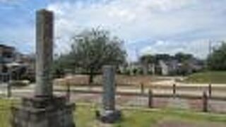 きれいに整地されています