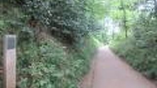 切通しの狭い道です