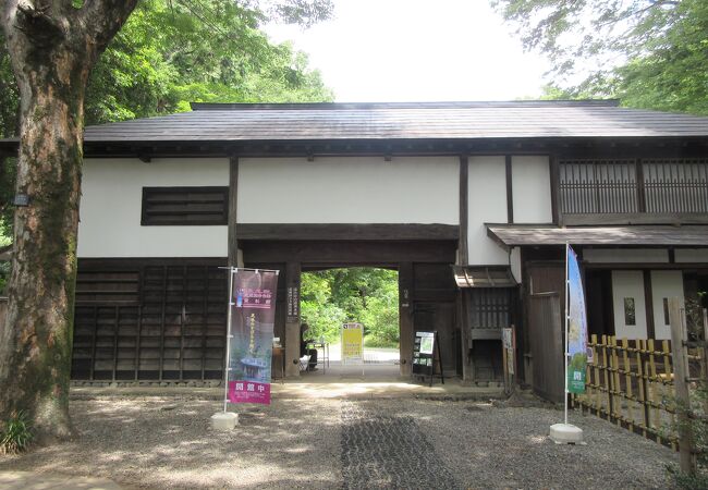 名主を務めていた本多家住宅長屋門や国分寺跡資料館を見学できます