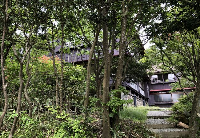 姥子温泉 秀明館 クチコミ アクセス 営業時間 元箱根 芦ノ湖周辺 フォートラベル