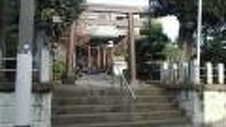 大ケヤキより桜のほうが存在感がありました