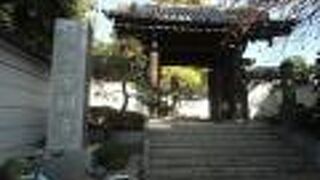 高さ２５ｍの大イチョウが目立ちます