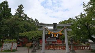 じっくり見られます