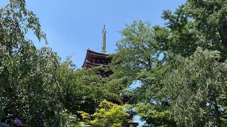 松戸のあじさい寺