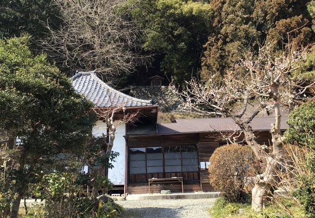 最勝寺は源頼朝の鎌倉時代で建康寺は太田道灌の室町末期から戦国時代の寺です