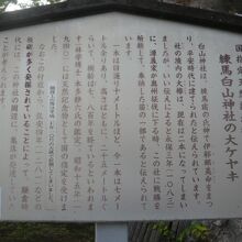 白山神社の由来について解説している練馬区教育委員会の解説です